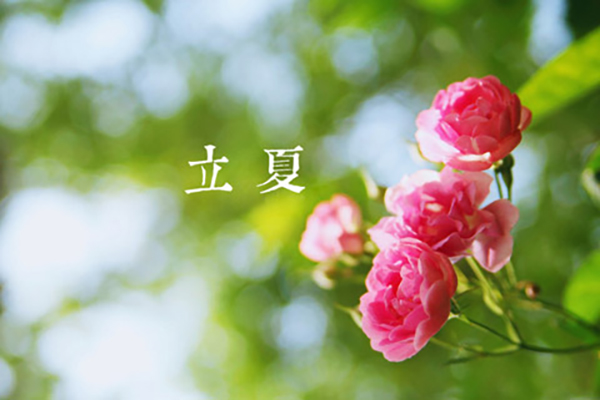 豪门国际官网涂装|立夏,万物向阳,且共成长
